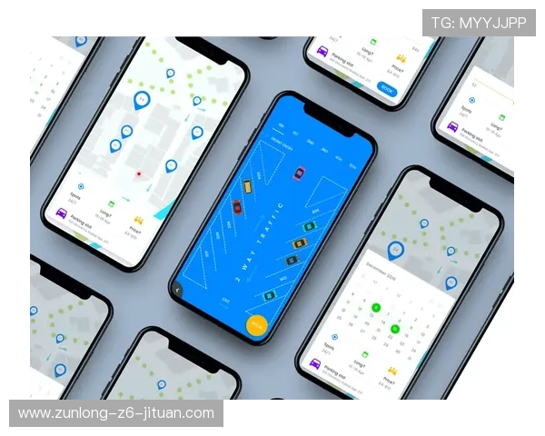 探讨尊龙手机网址的用户体验与界面设计