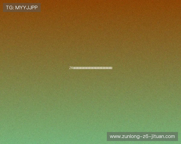 Z6现金使用指南全面介绍新手如何高效利用平台进行资金操作